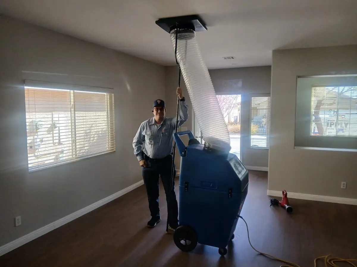 Professional Dryer Vent Cleaning work inside a Burnt Mills home
